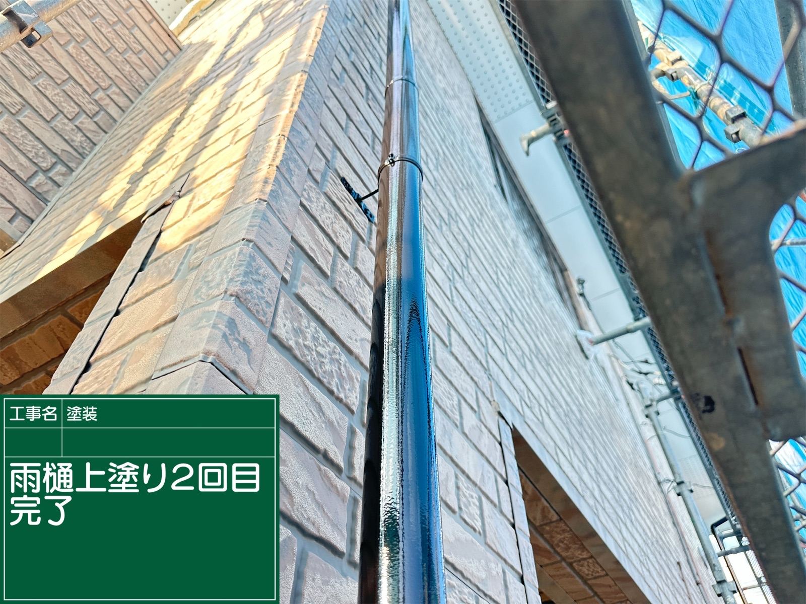 竪樋塗装後