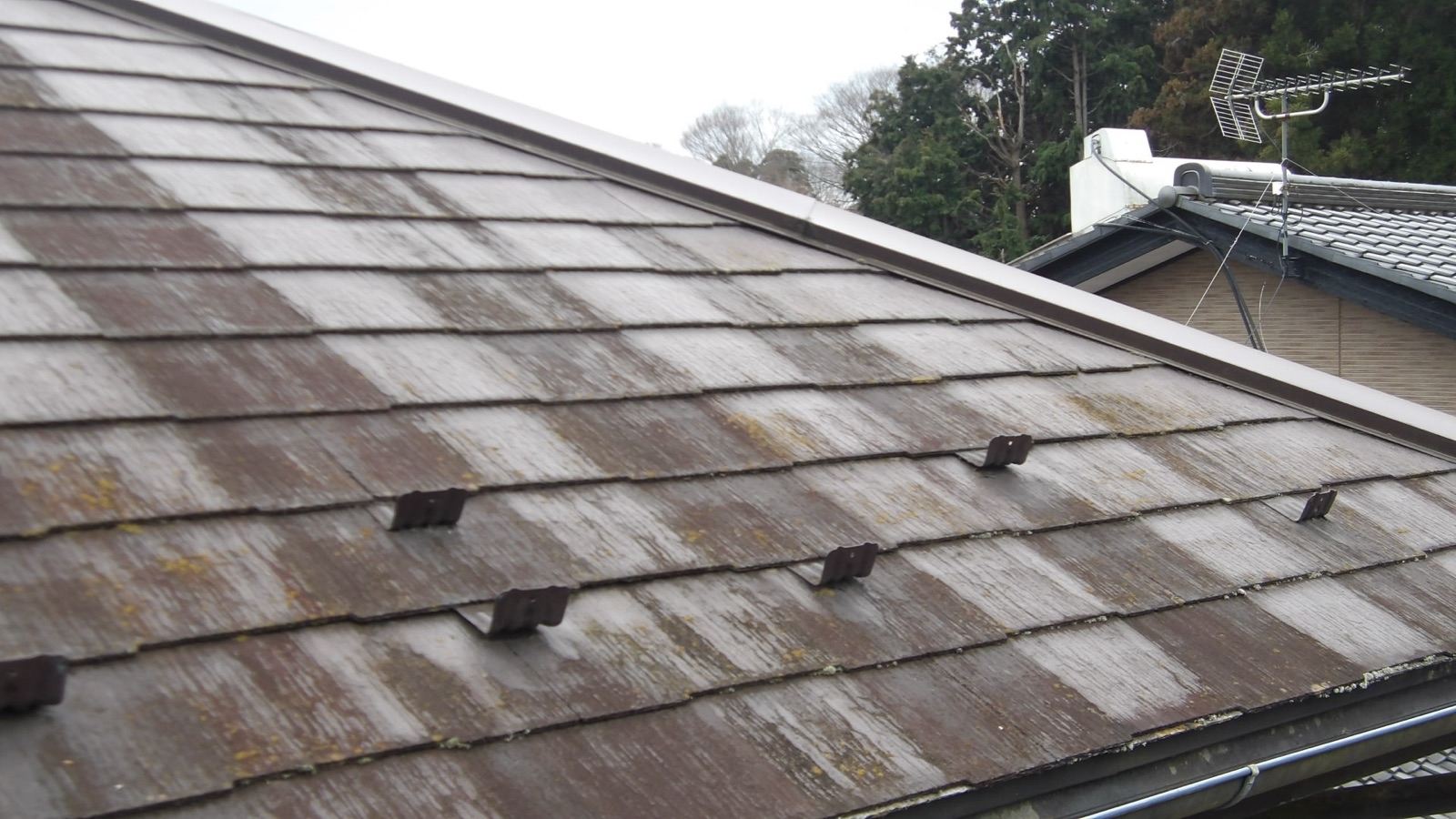 防水性が損なわれたスレート苔