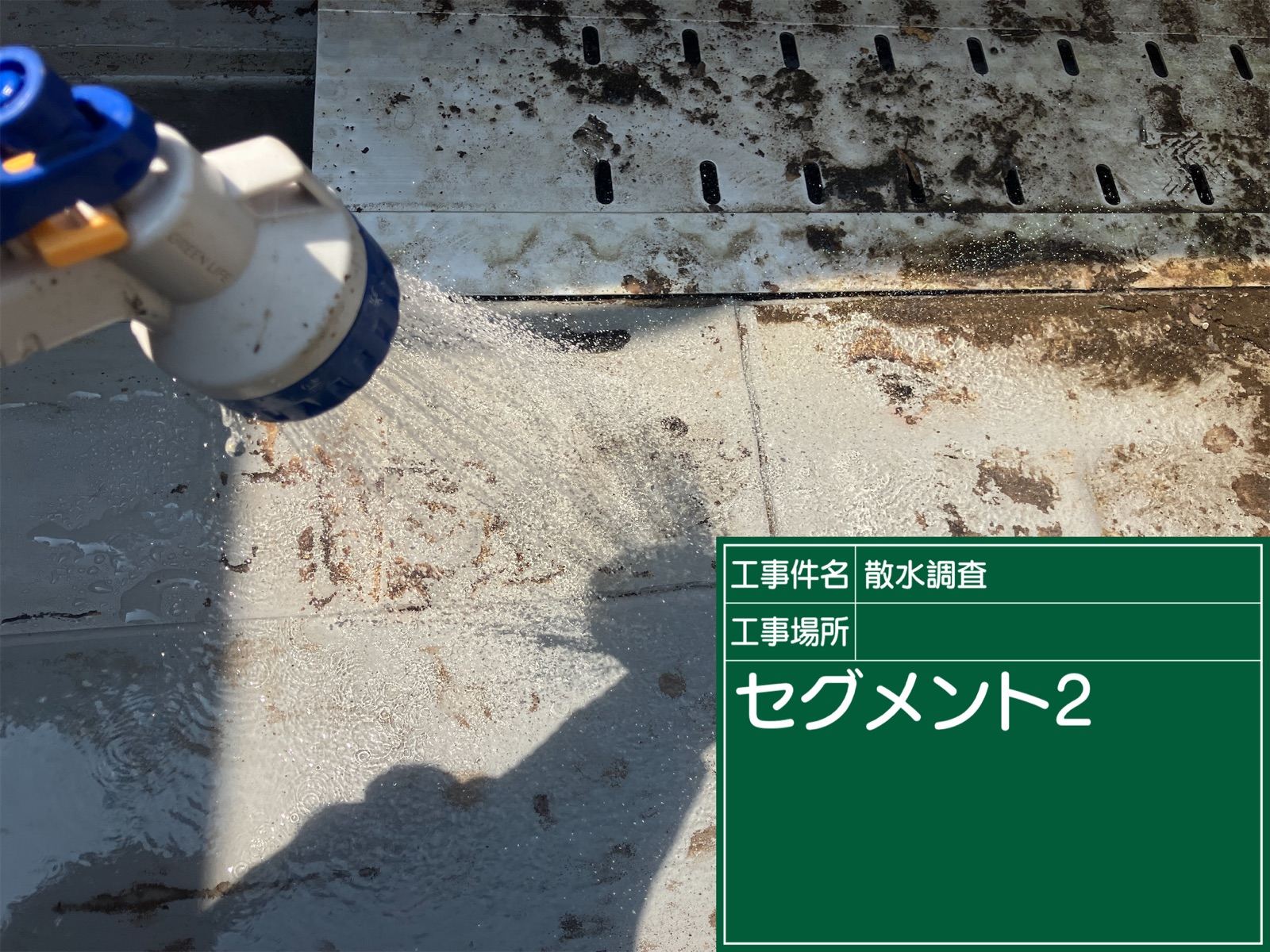 散水調査