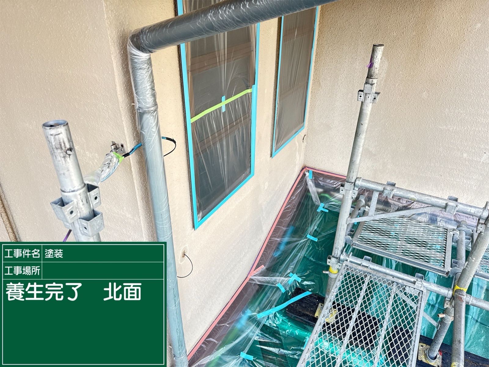 養生
