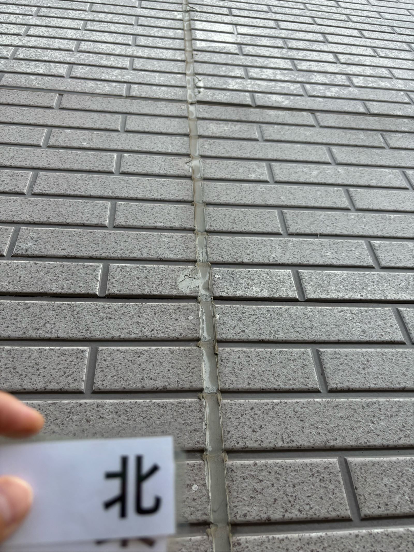 劣化していた目地
