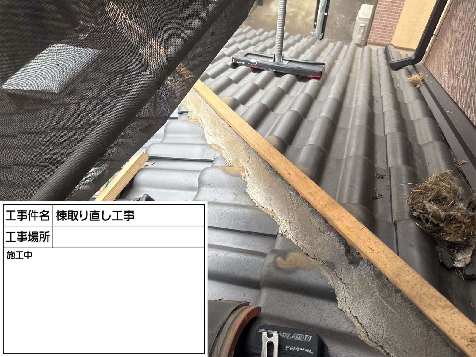 棟撤去