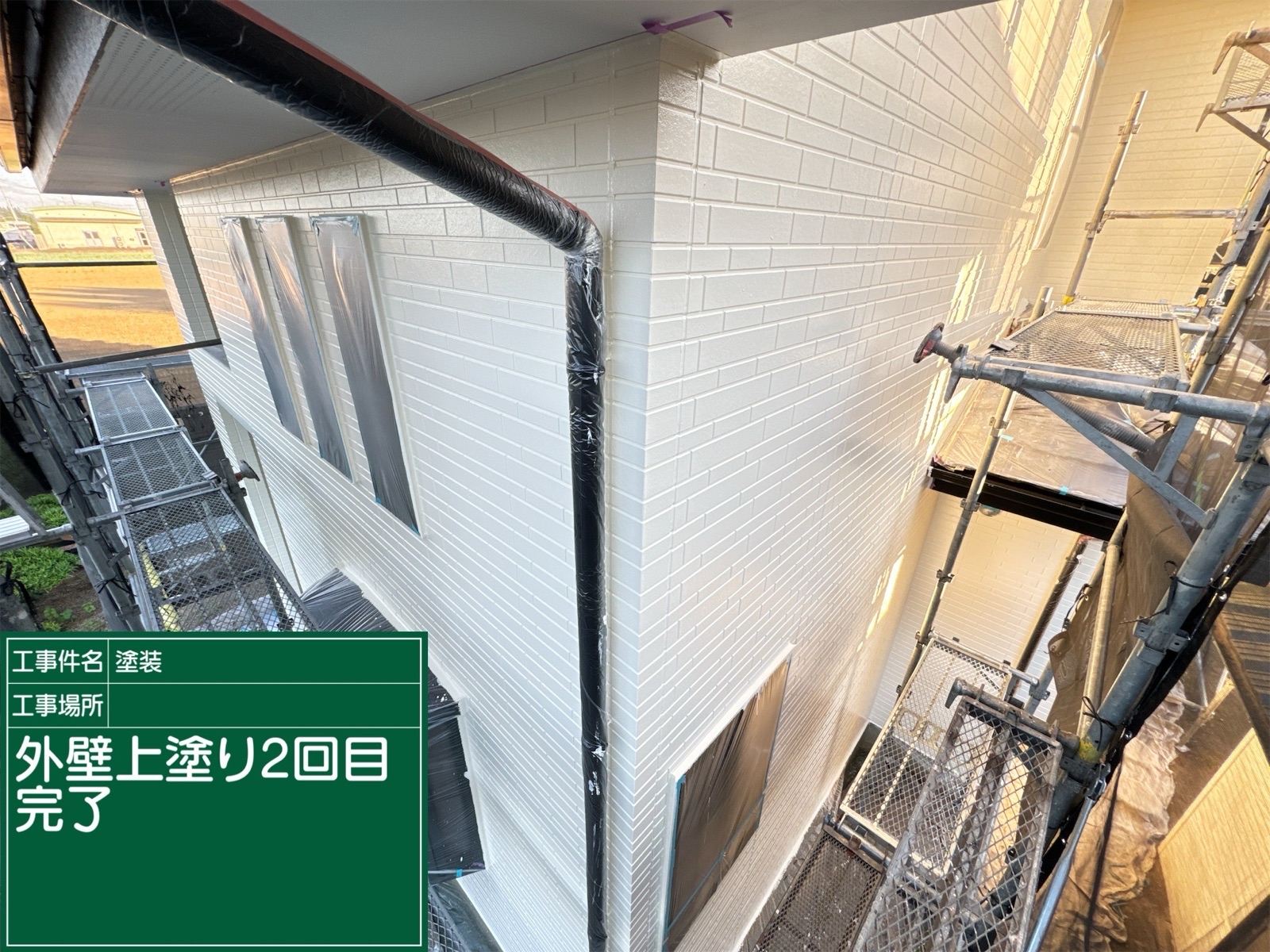 外壁上塗り