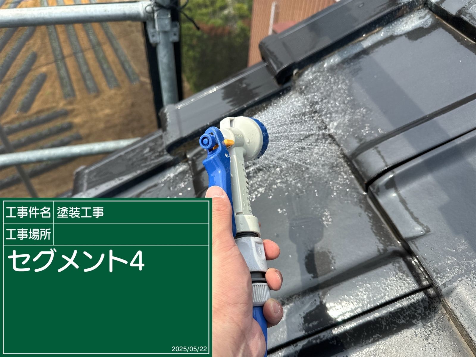 散水調査