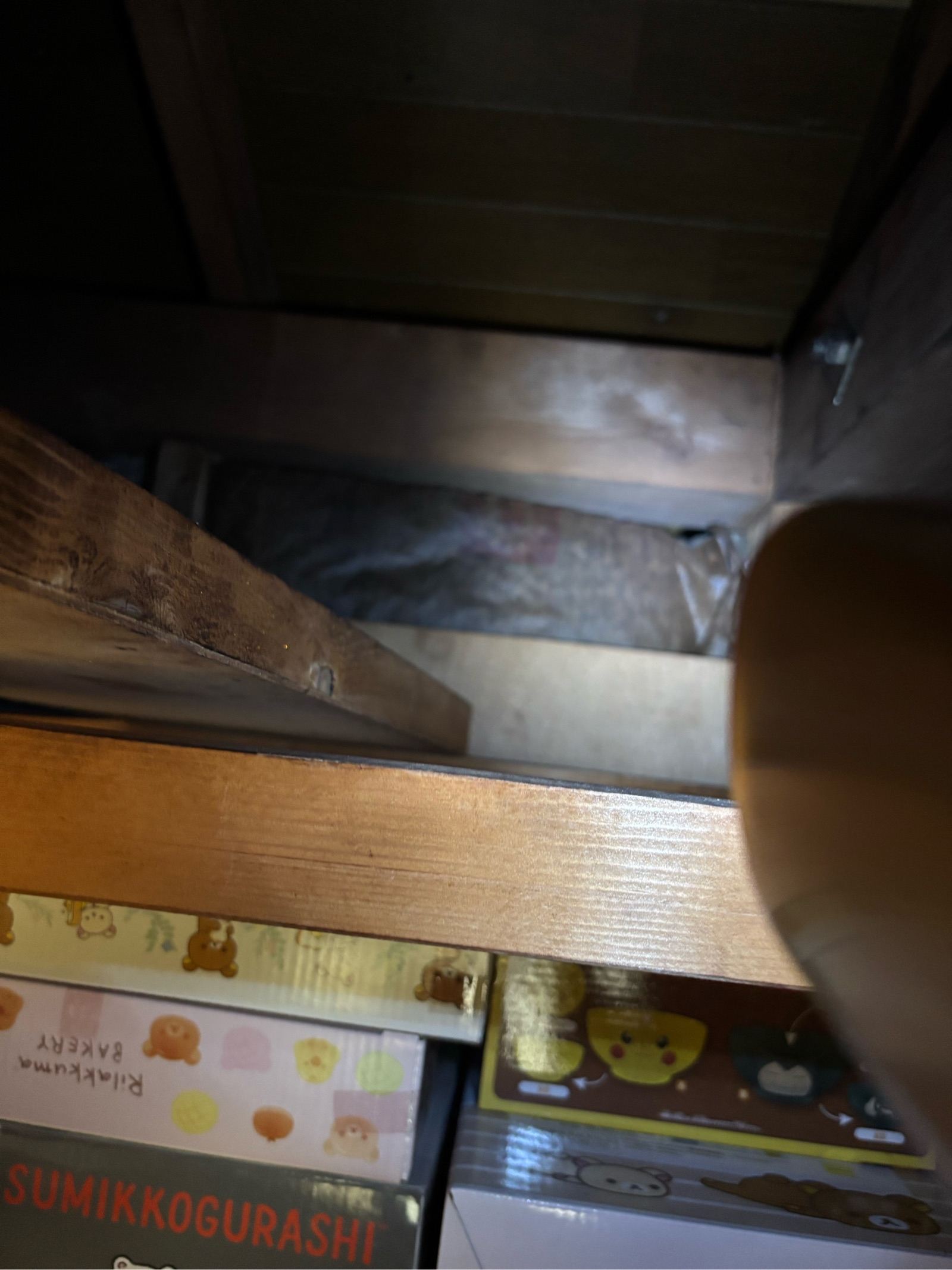 屋根裏点検
