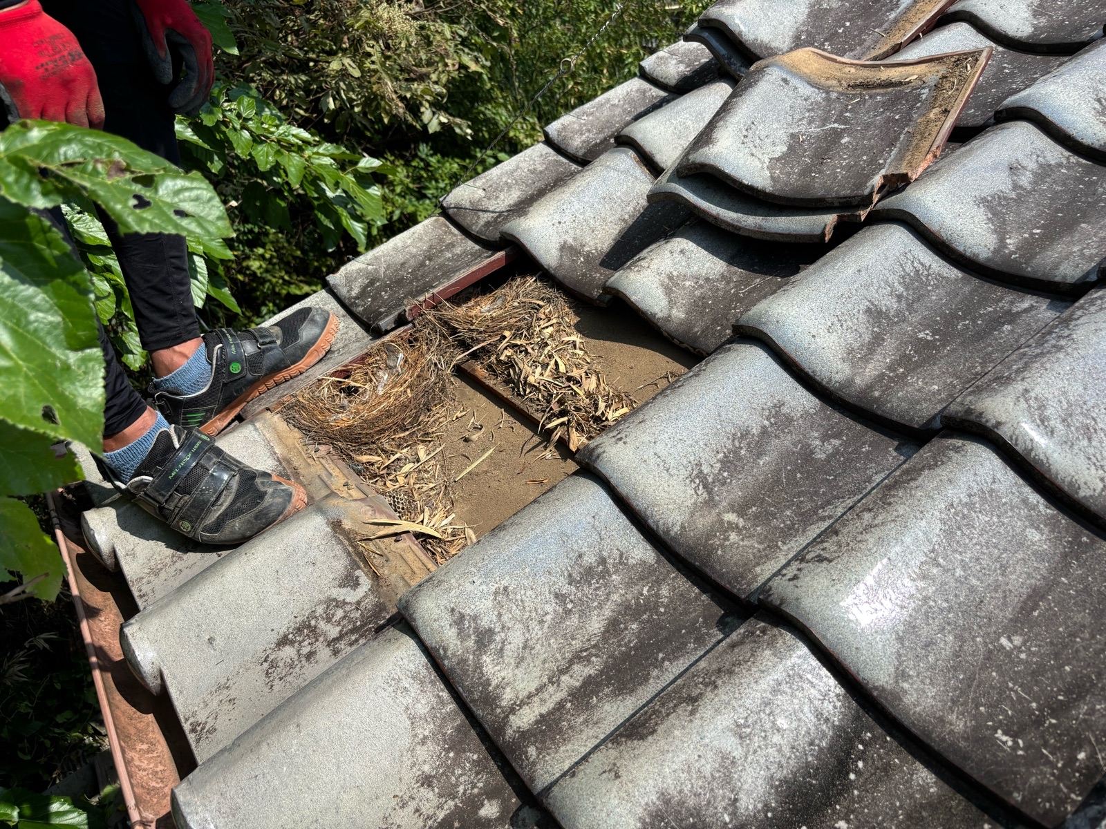 瓦の取り外し作業