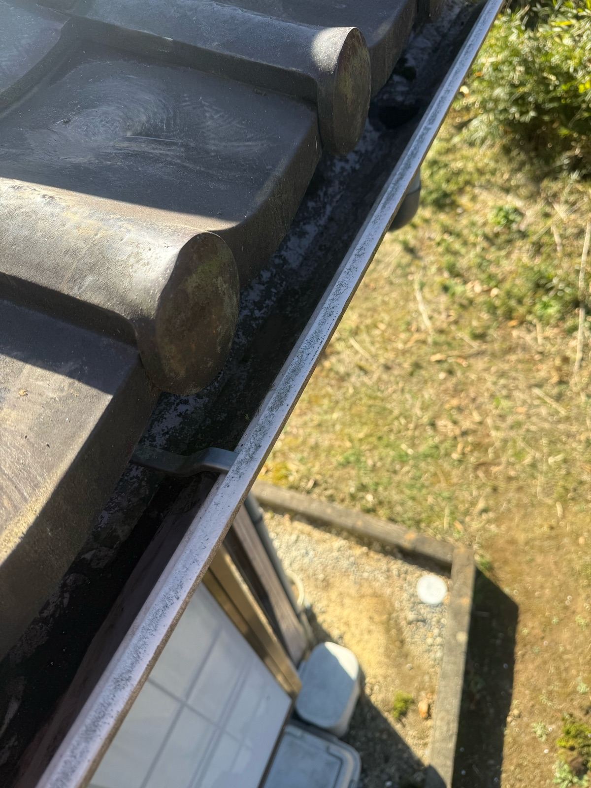 苔汚れ　清掃後