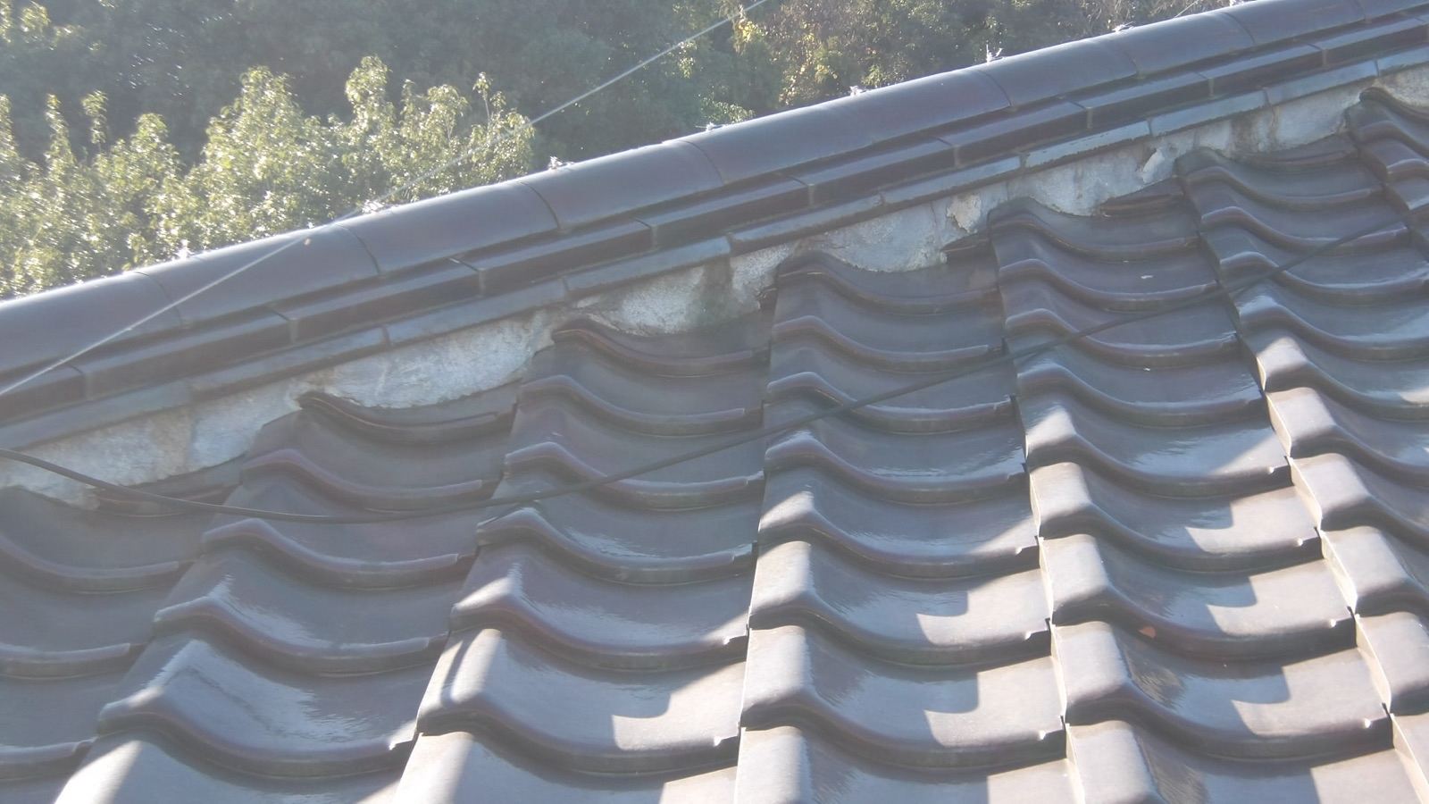 高所カメラ画像