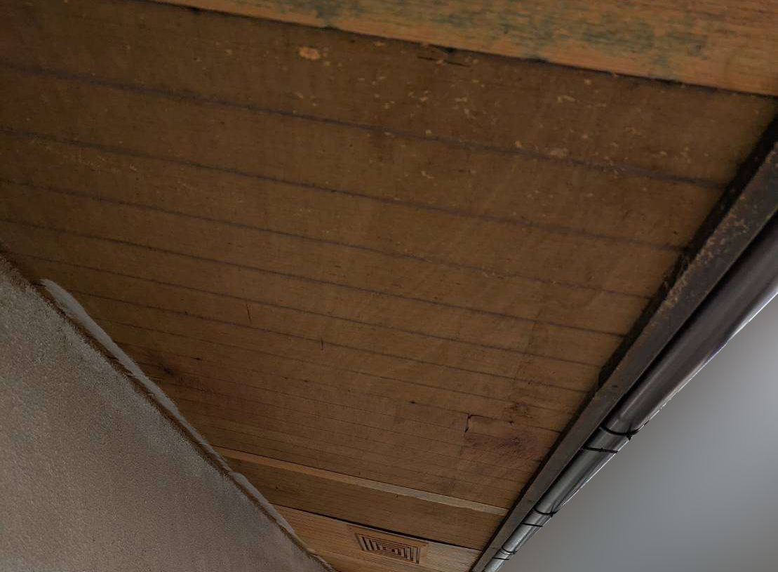 表面の板を剥がした軒天