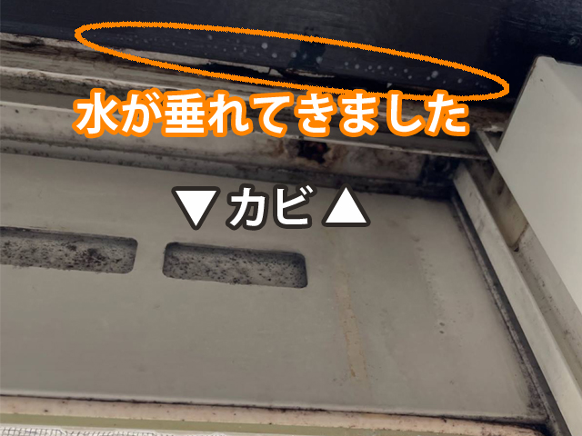 散水調査の室内、水が垂れてきた