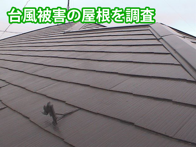 台風被害の屋根調査