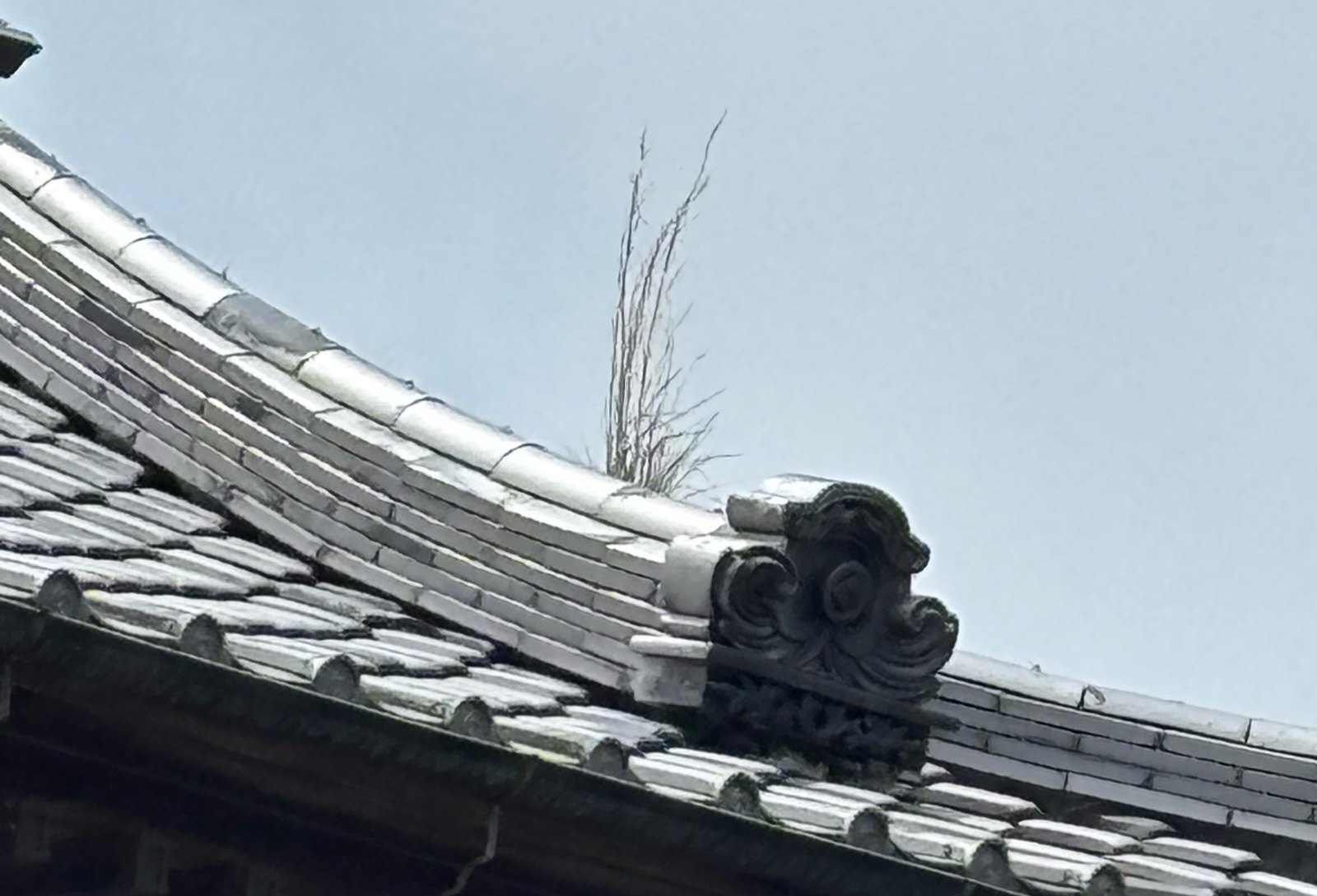 かすみがうら市：隅棟の形状で雨漏り発生⁉️雨水の流れを留めないように棟瓦を補修して雨漏り対策☔