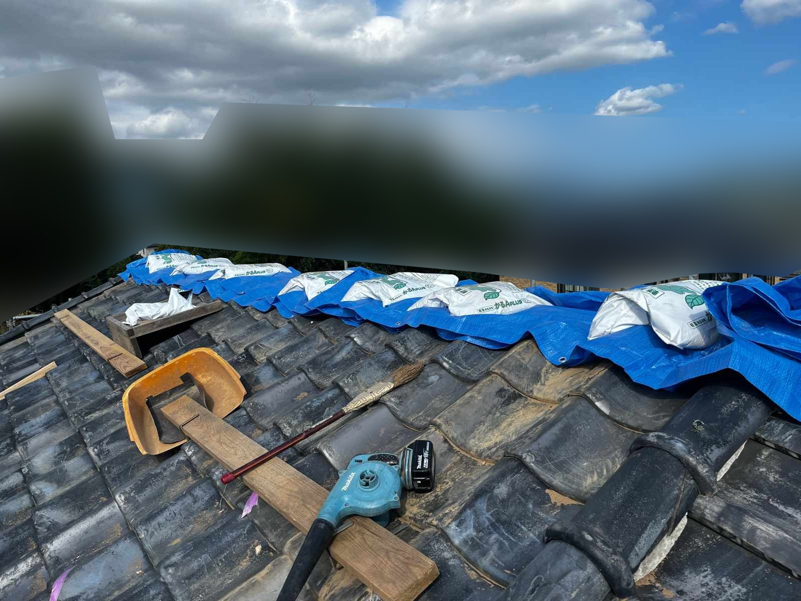 棟ブルーシート、かすみがうら市