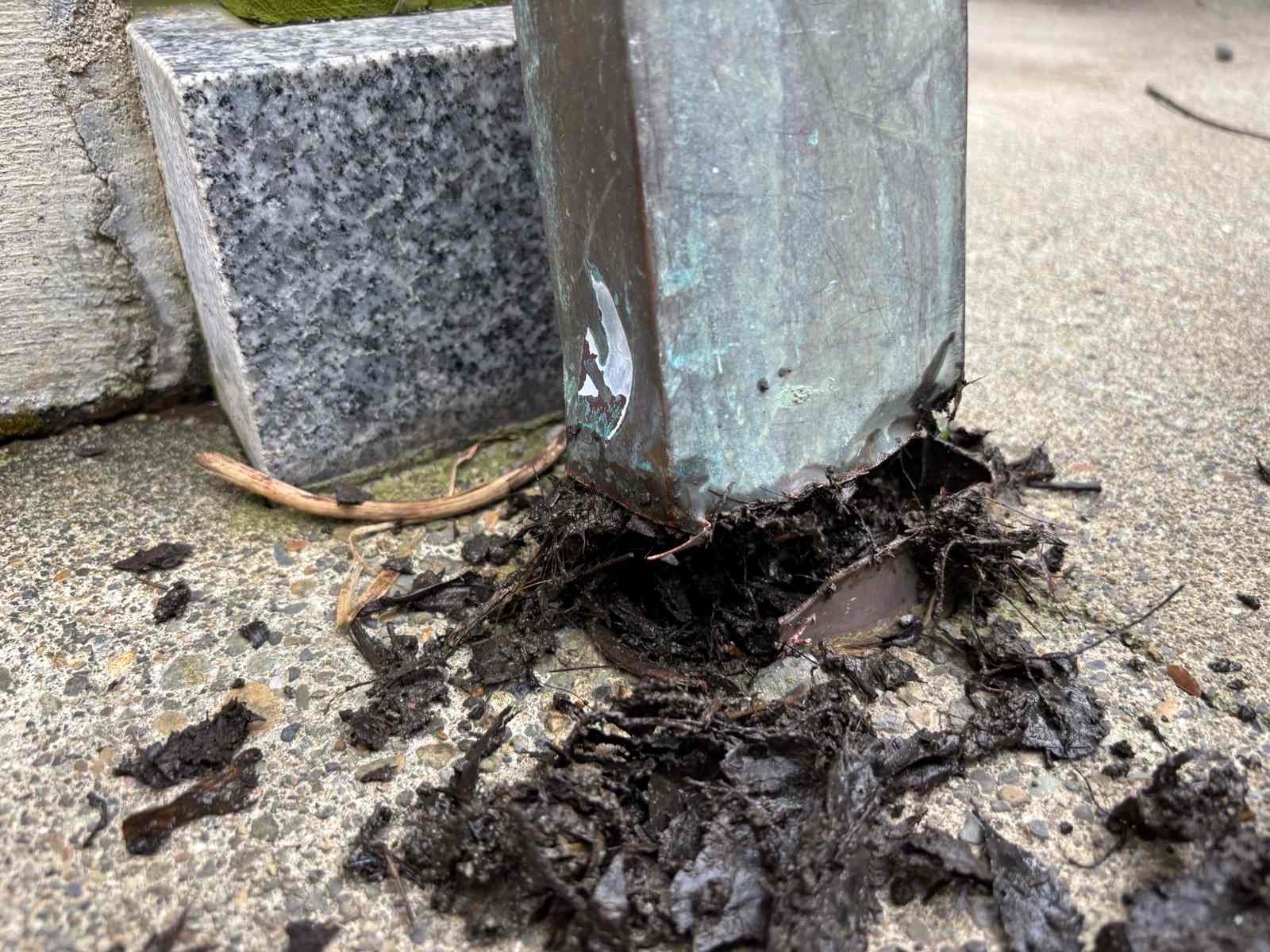 雨樋清掃、堆積したゴミをきれいにする