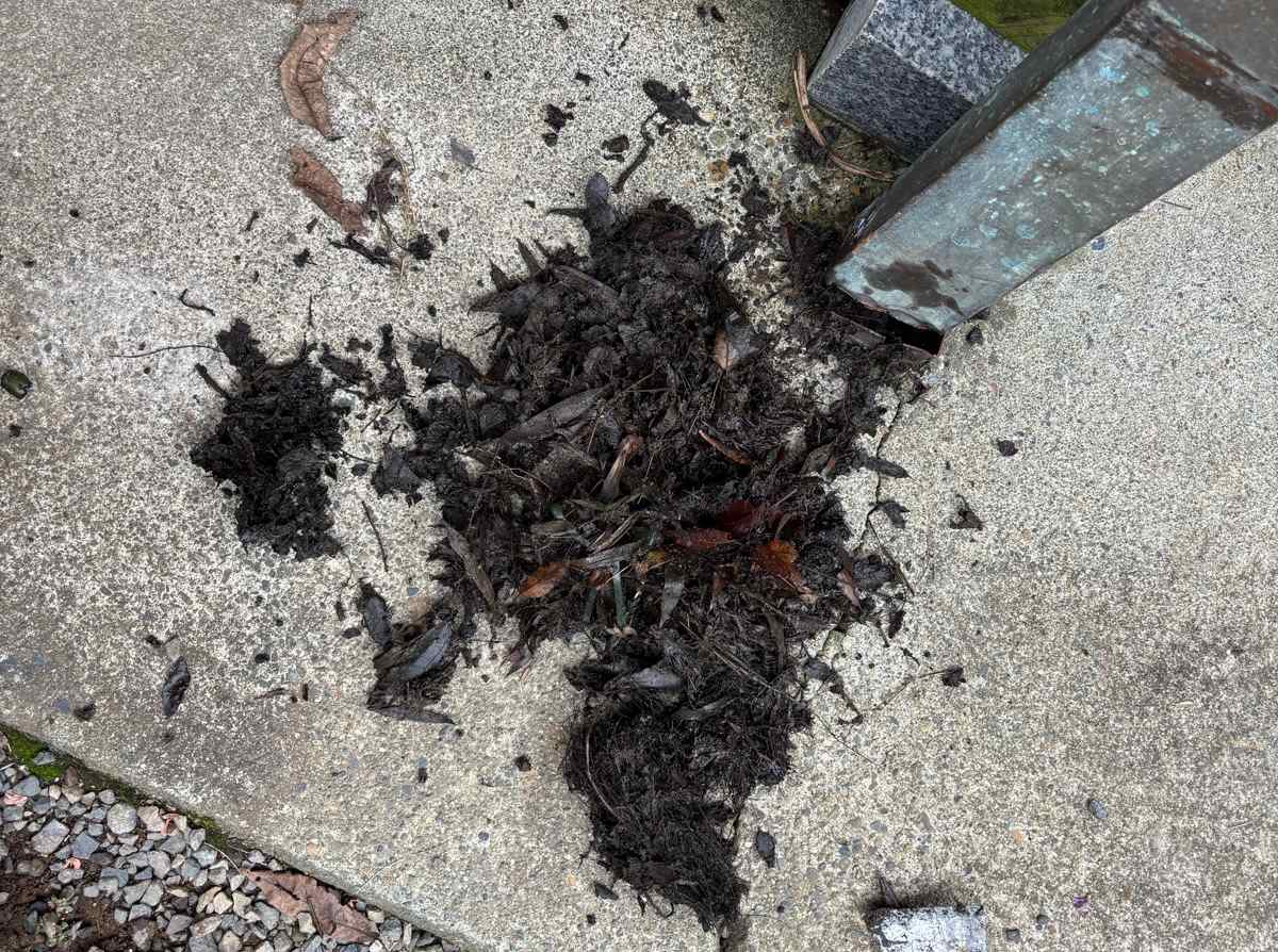 かすみがうら市で雨樋清掃、堆積した汚れ