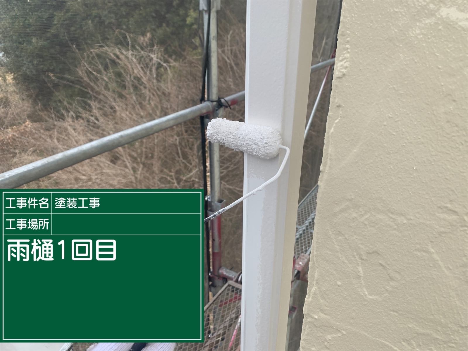 付帯部の塗装カラーは白