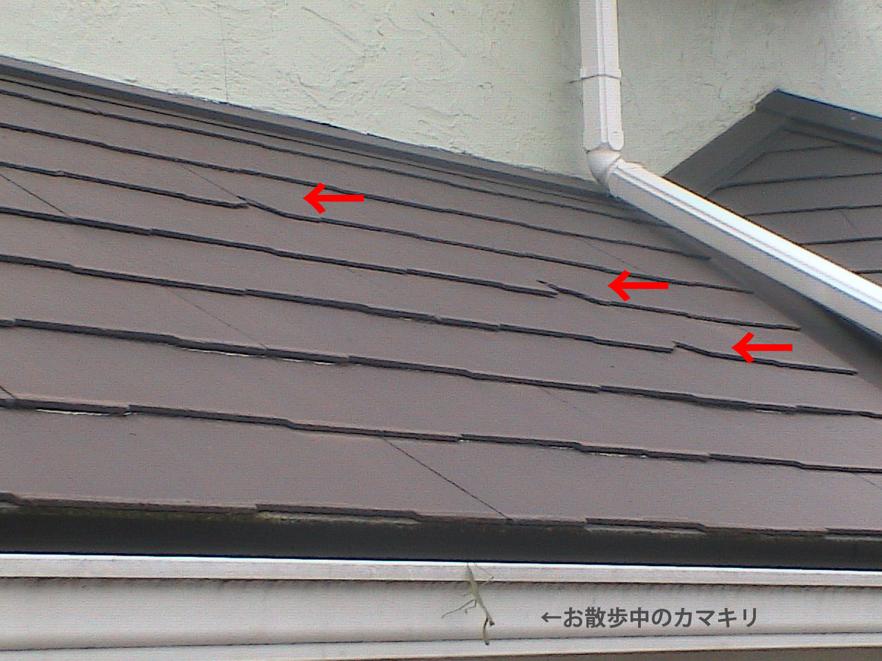屋根の欠け