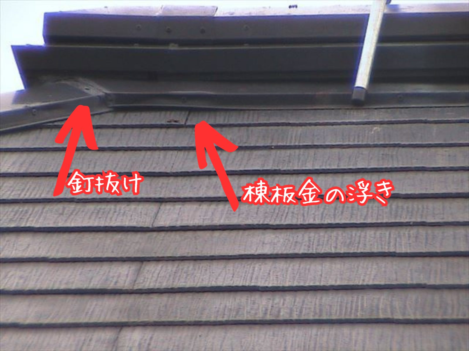 屋根調査
