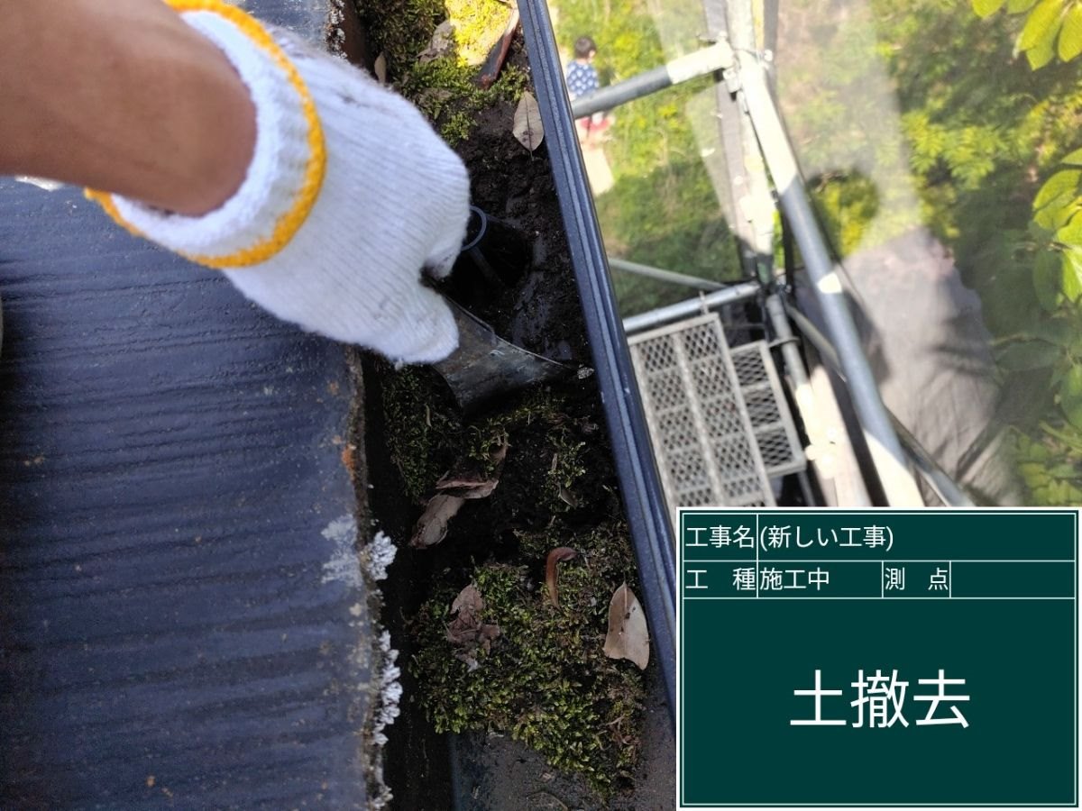 雨どいの苔除去作業