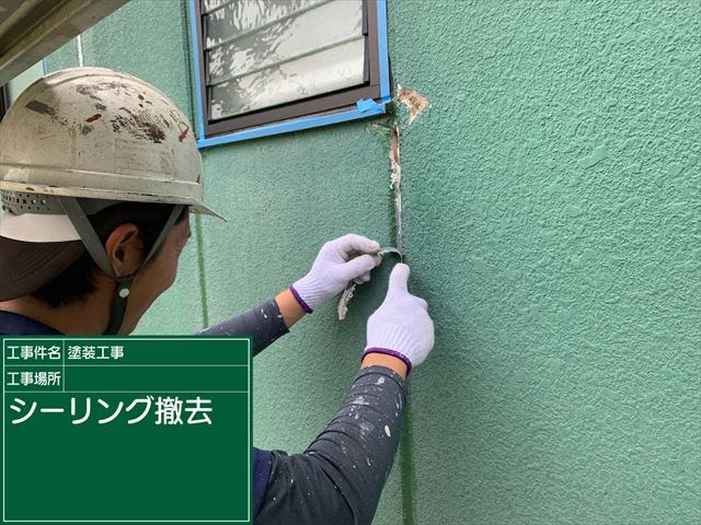 つくば雨漏り