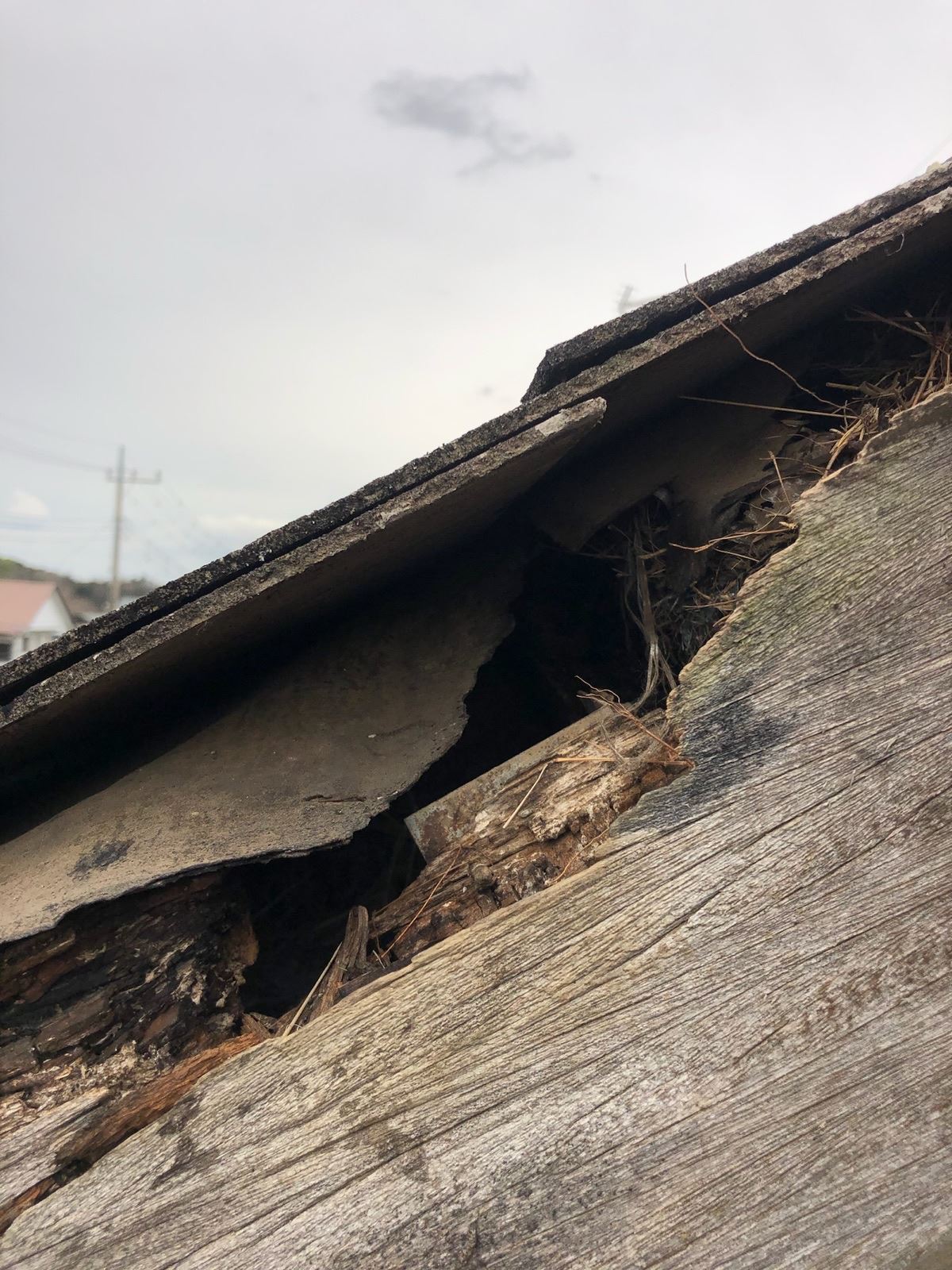 屋根に空いた穴　破風板破損