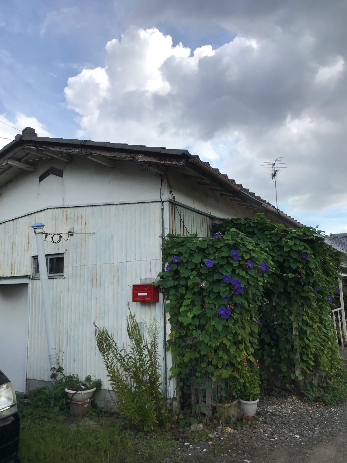 石岡市で築40年の貸家を無料調査！屋根の塗装と雨樋の交換をご提案