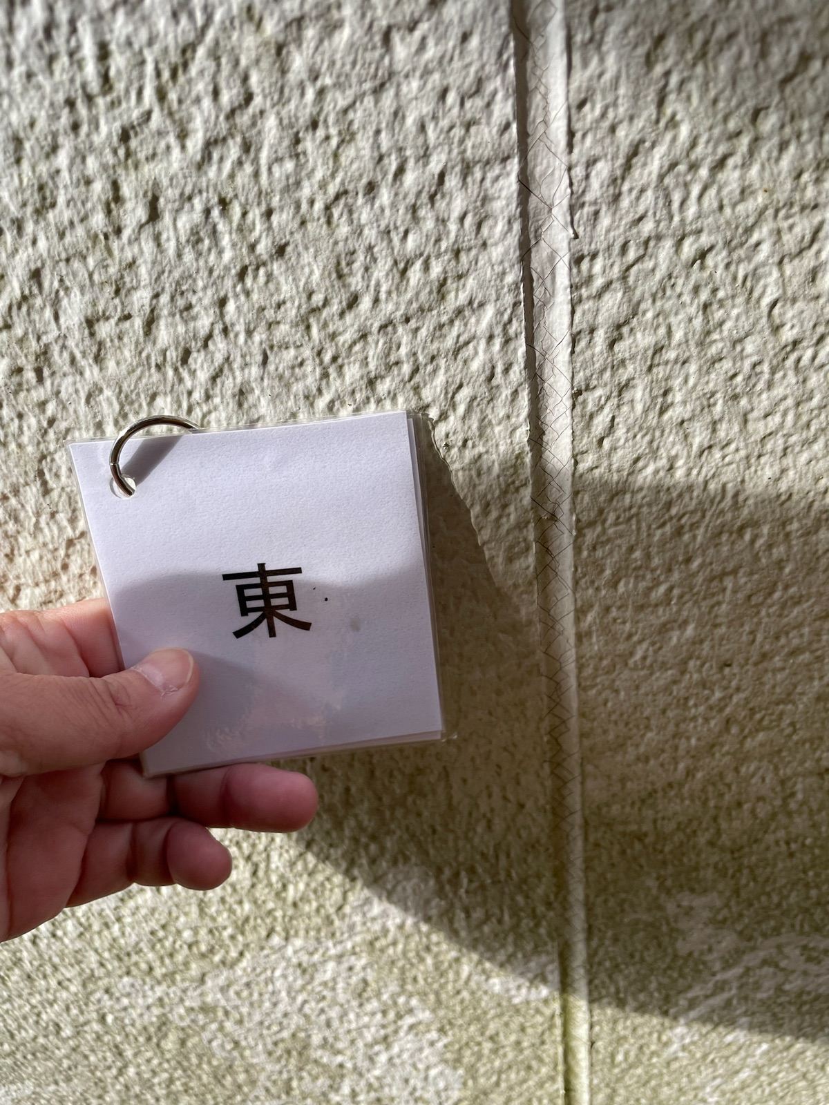外壁コケ　シーリング痩せ