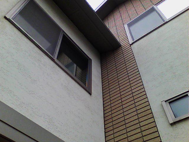 外壁コケ