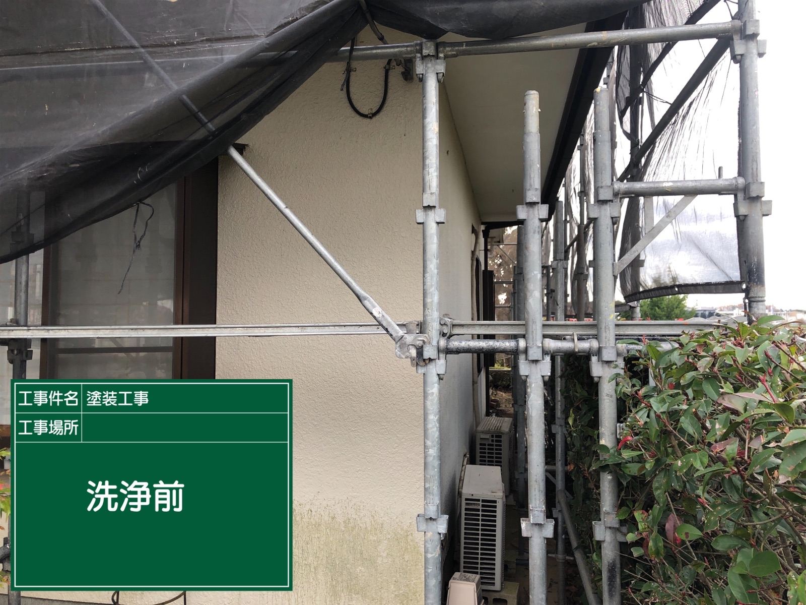 洗浄前