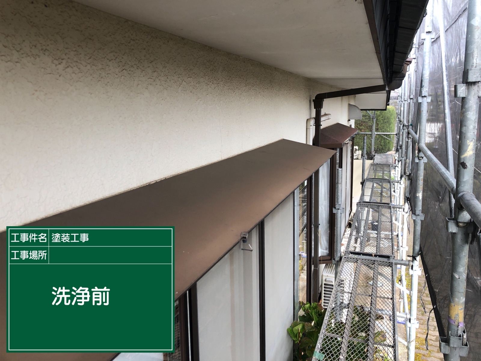 洗浄前