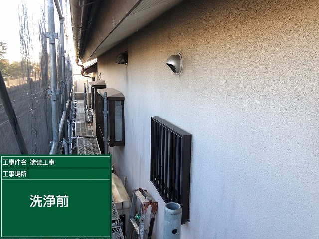 洗浄前