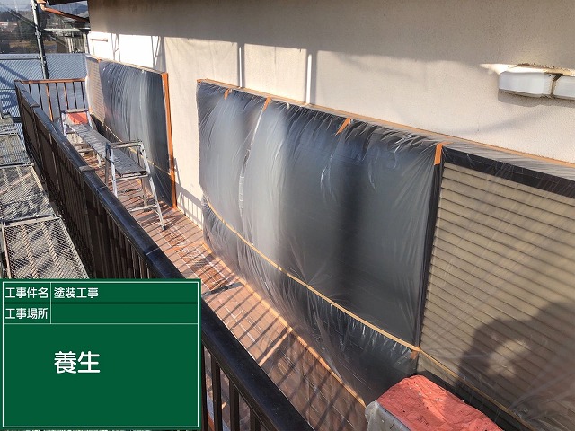 養生