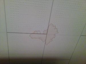 雨漏り後