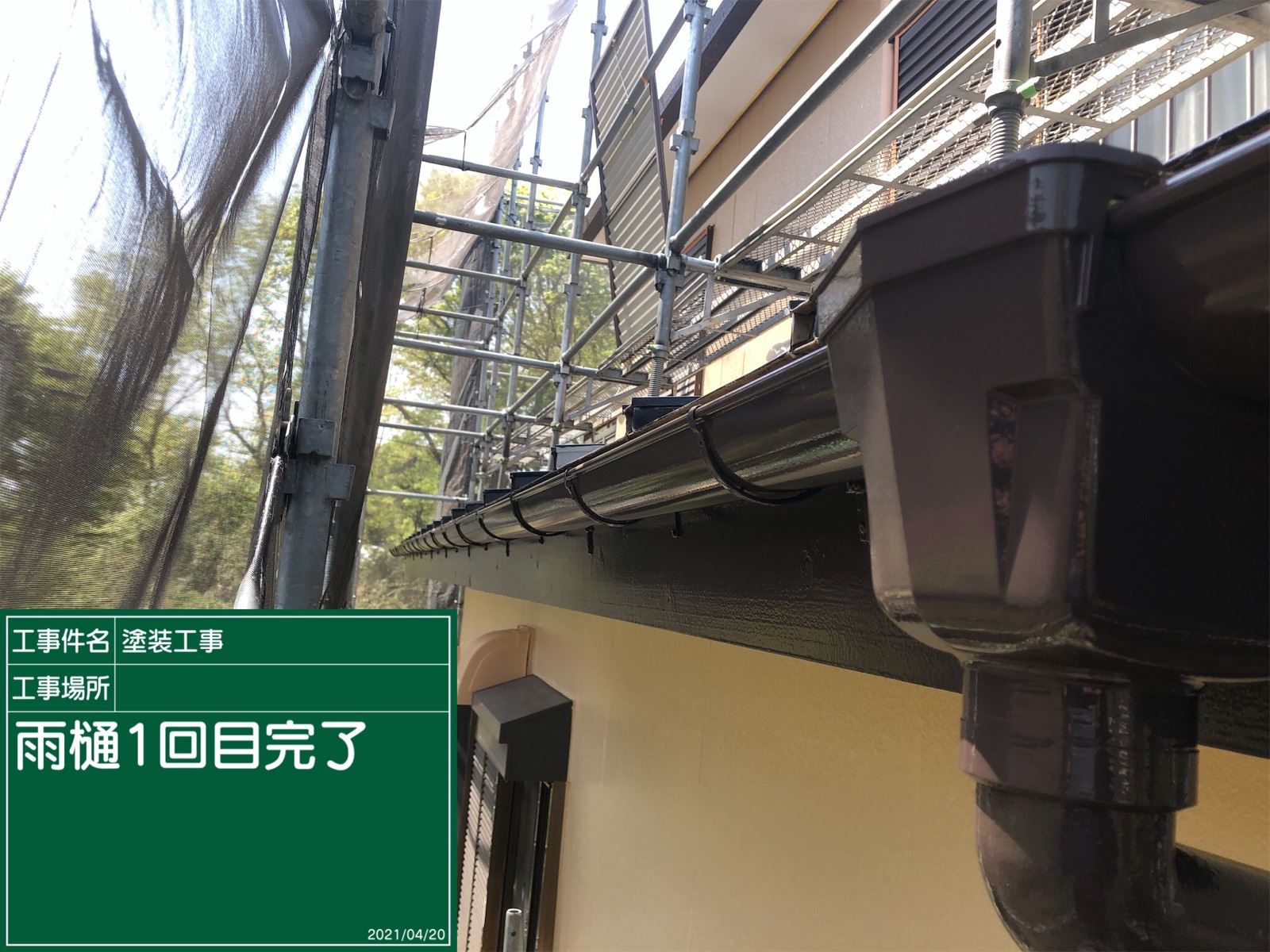 縦樋塗装