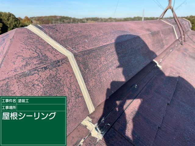 小美玉市屋根