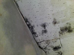 神栖市で３階建てビルの【雨漏り診断】を実施！天井や壁の雨染みなど全階被害の原因を調査しました