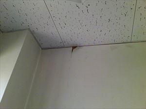 ドレンからの漏水による雨漏り箇所