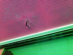 サッシ廻り　雨漏り