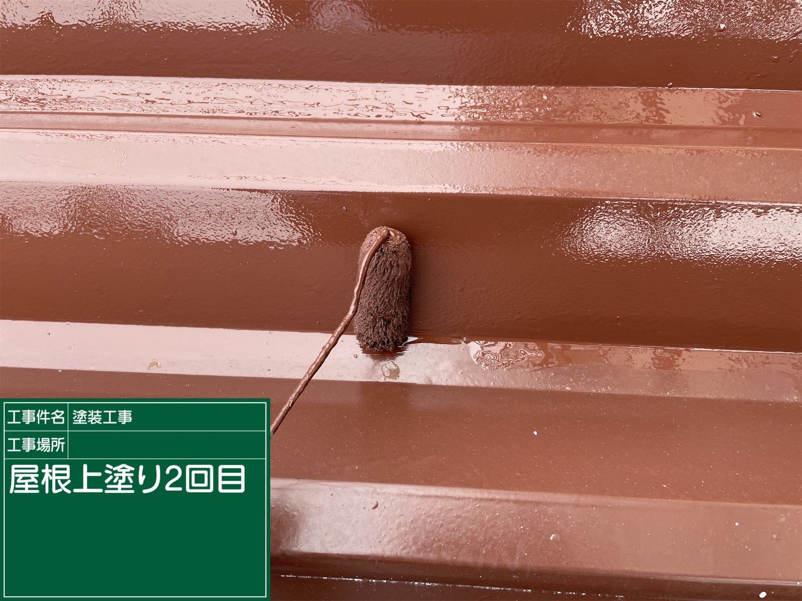 折板屋根塗装　上塗り