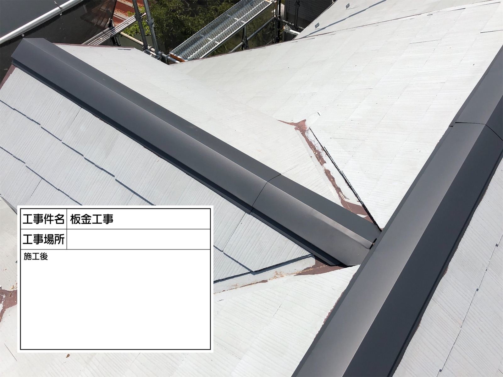 棟板金交換後