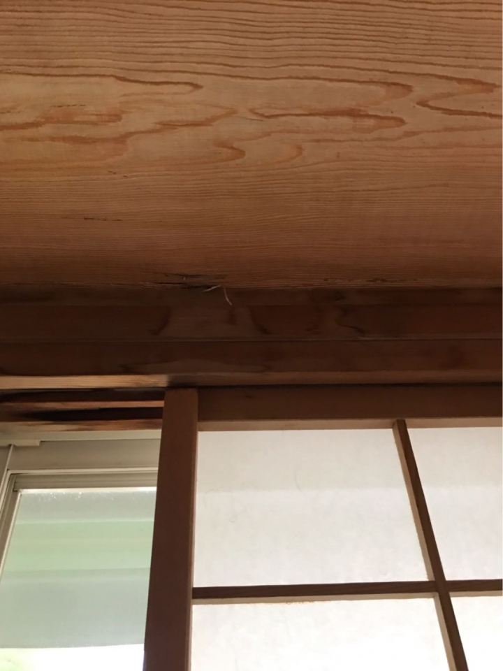 土浦市でホームセンターでも止まらない雨漏りの不安を解消！専門家による現地調査・診断の重要性