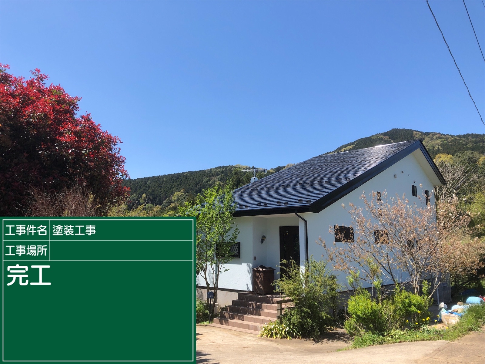 石岡市の外壁ツタ撤去事例