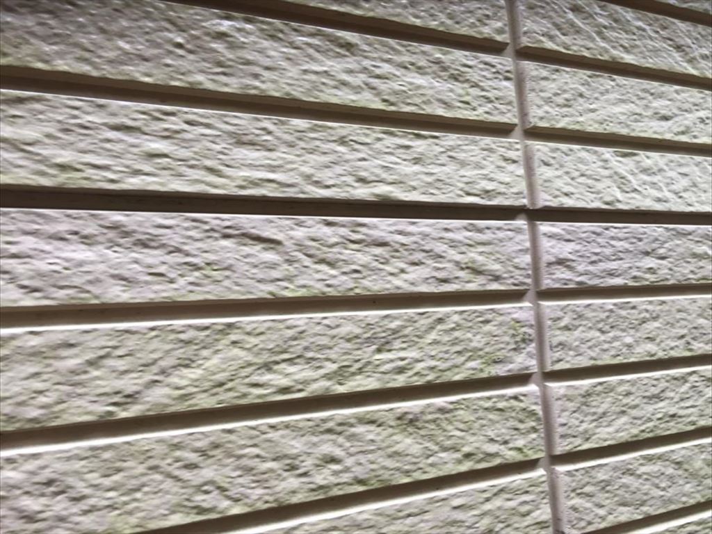 うっすらと緑色に汚れた外壁