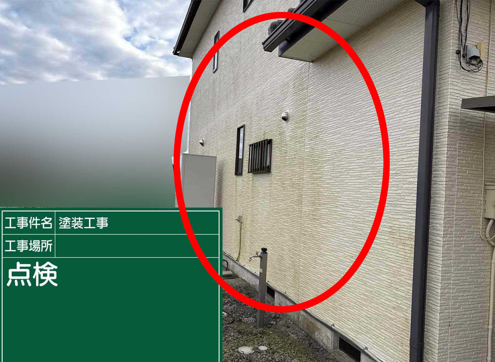 土浦市で外壁の苔カビ取り