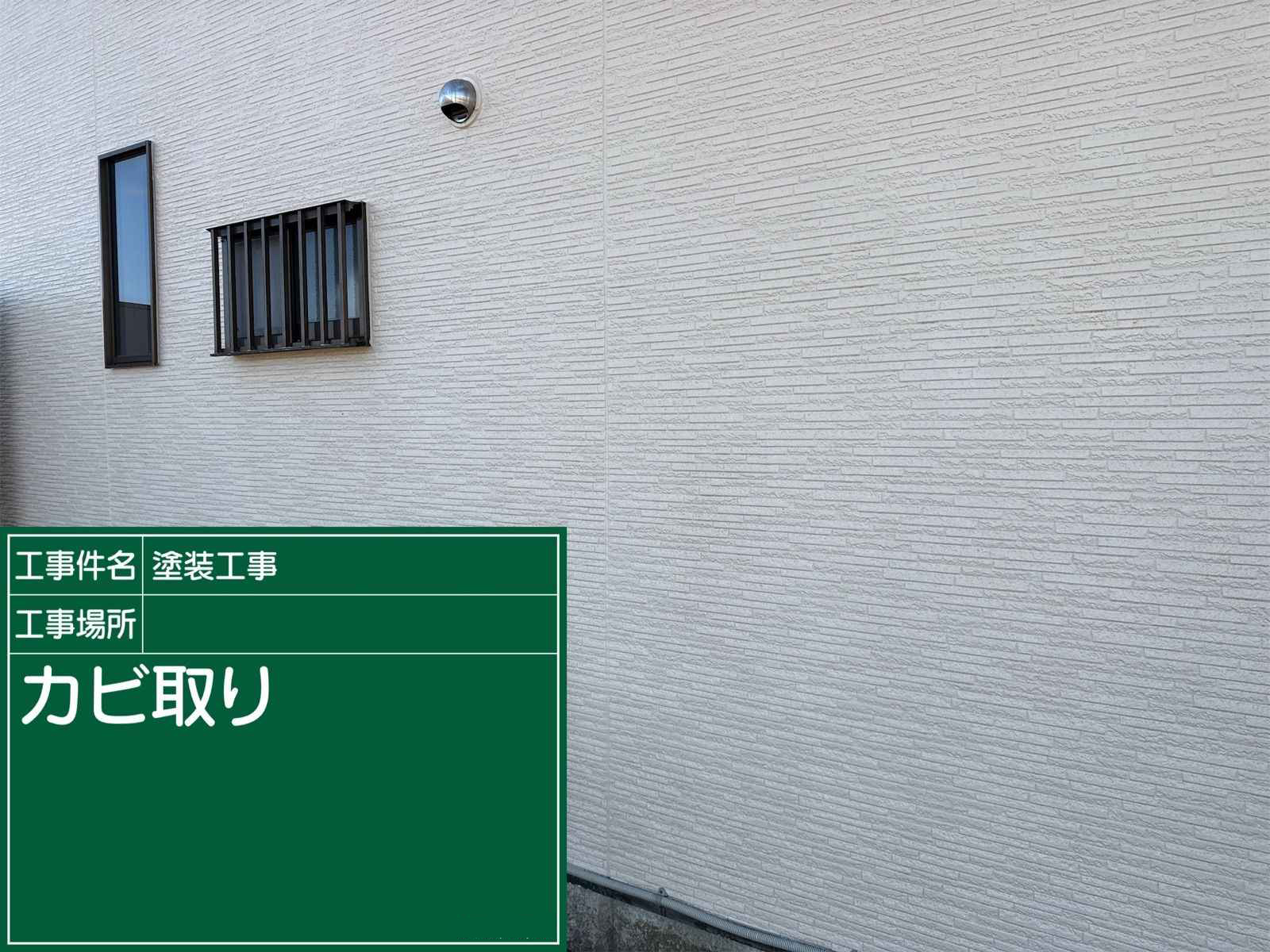 外壁苔カビ取り施工完了