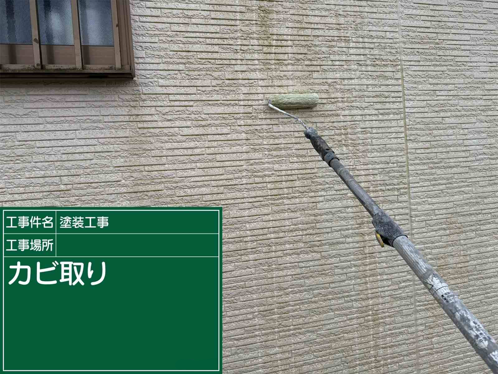 土浦市で外壁の苔カビ取り、足場なし