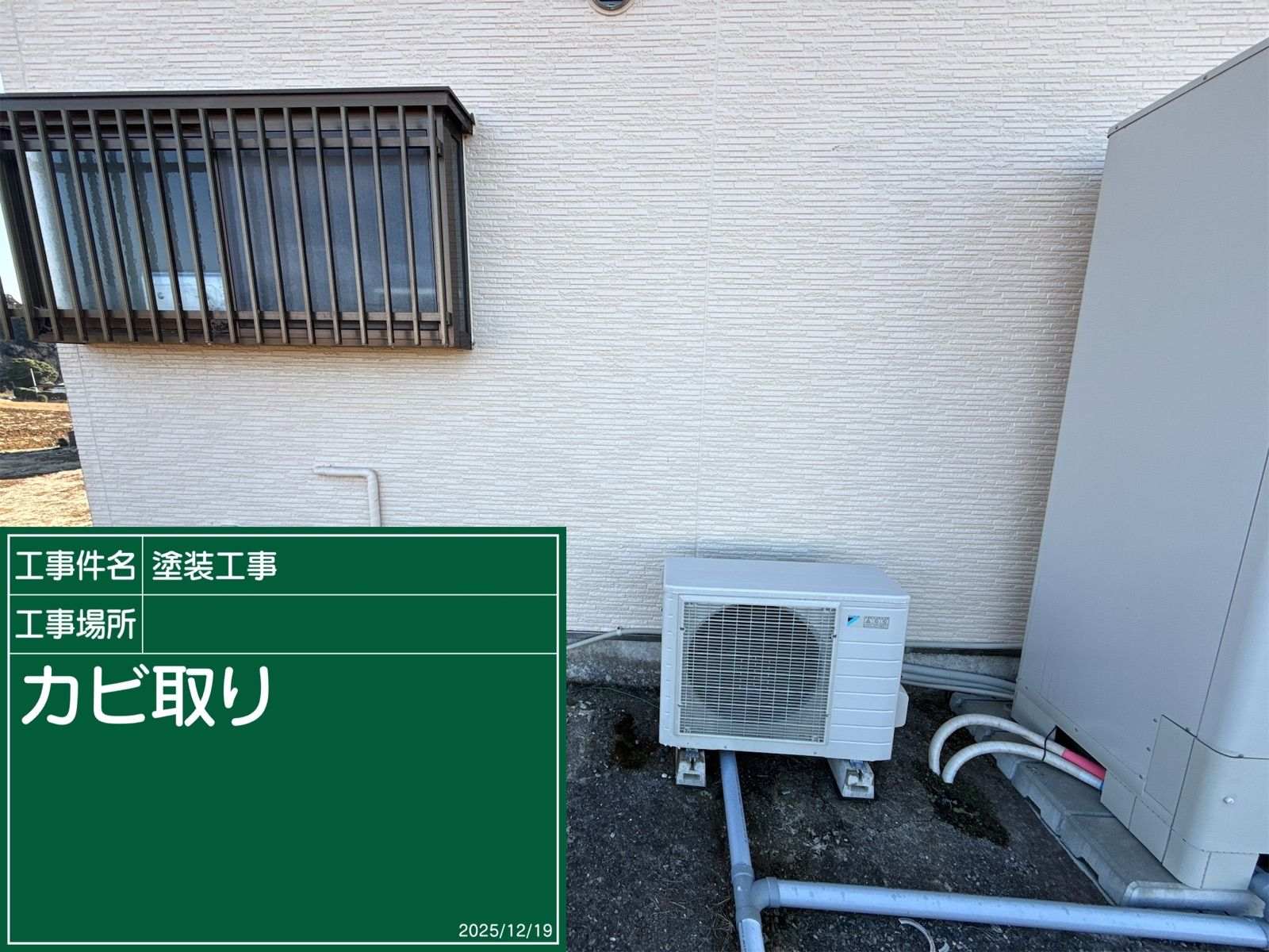 外壁の苔カビ取り