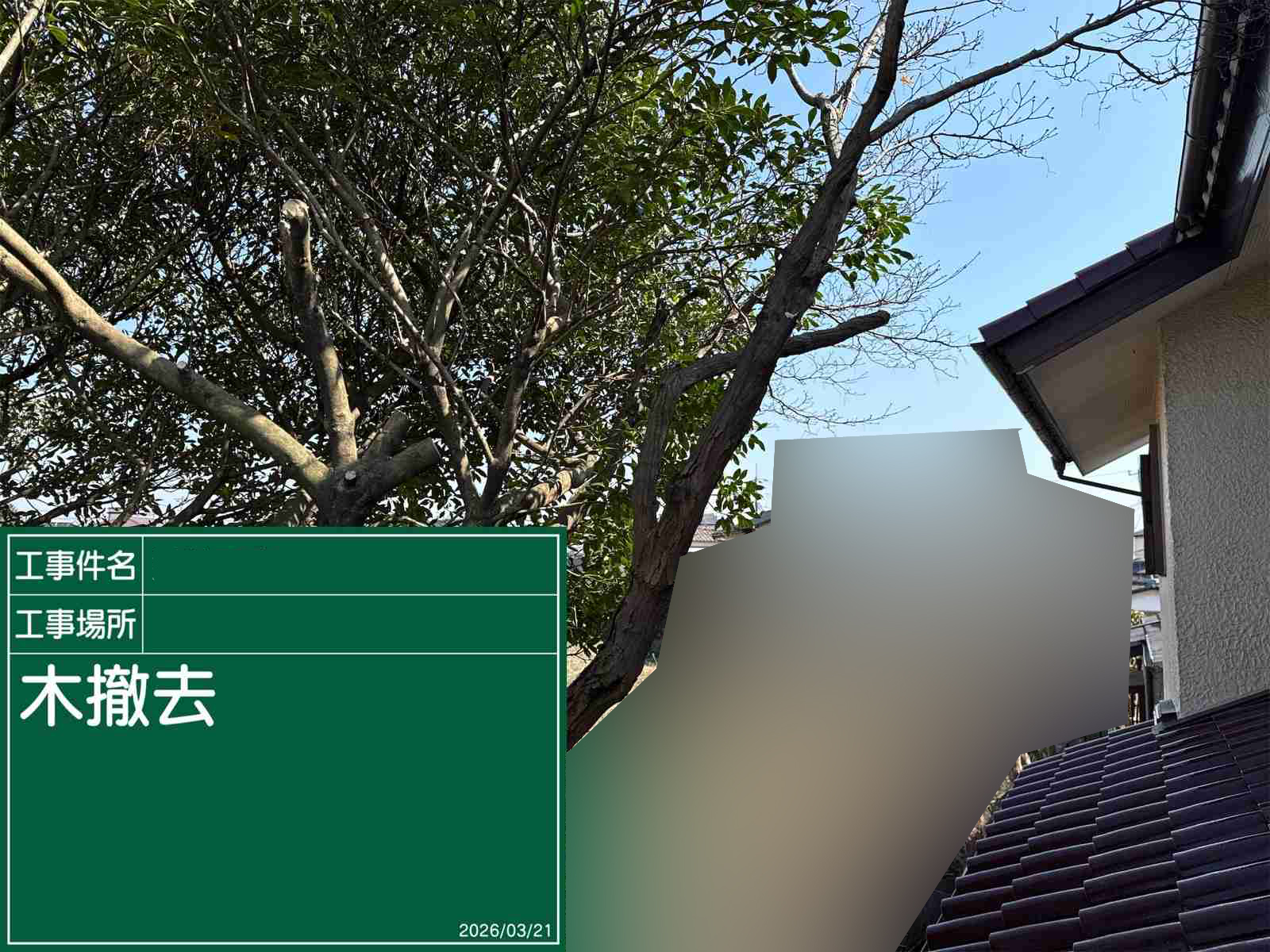 土浦：植栽撤去