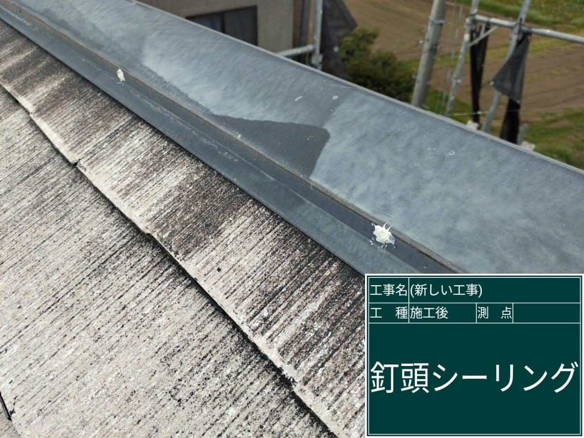土浦市ミサワホーム：釘頭シーリング施工