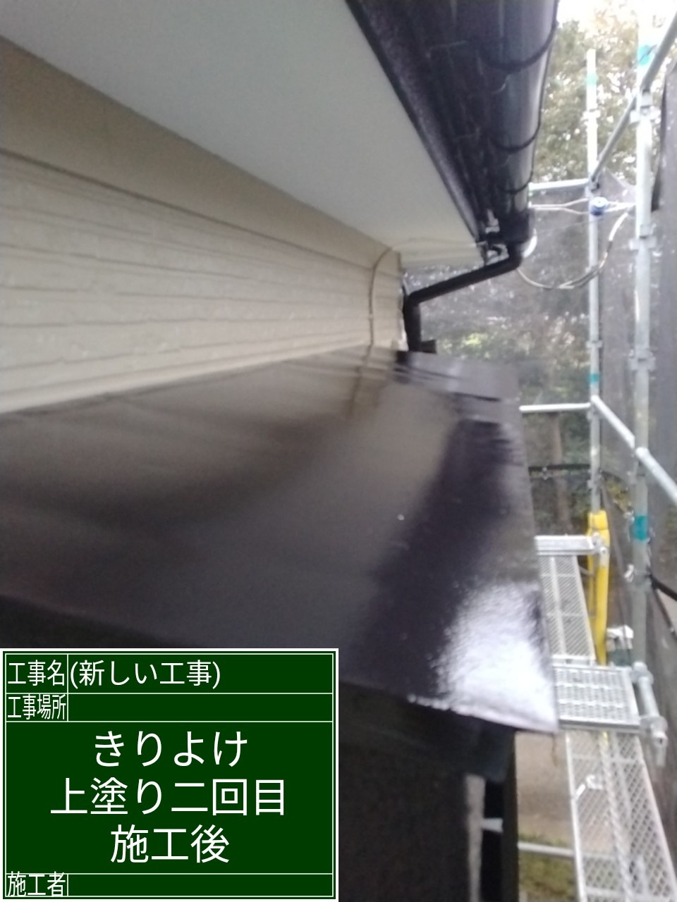 庇